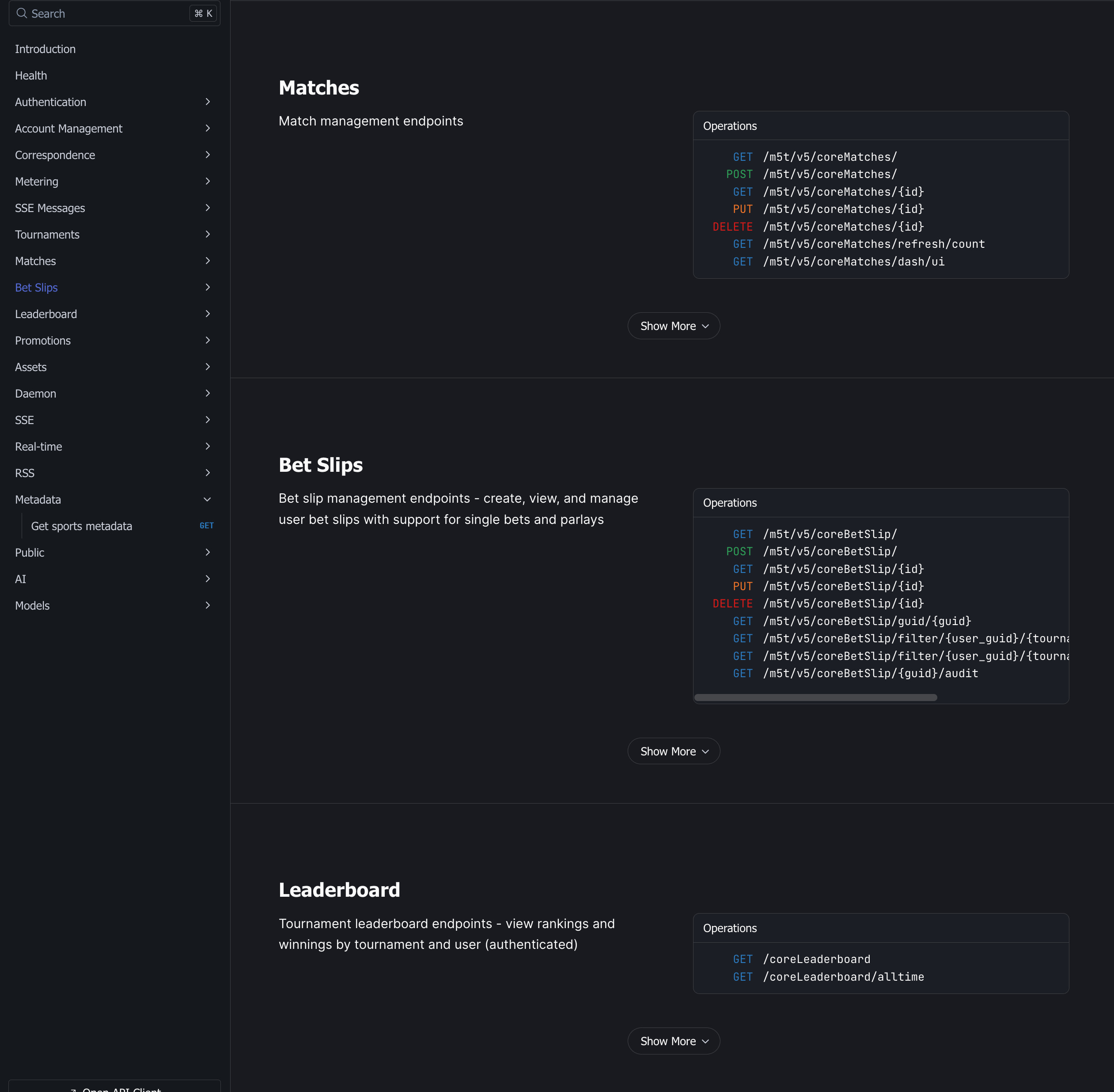 API Documentation Interface